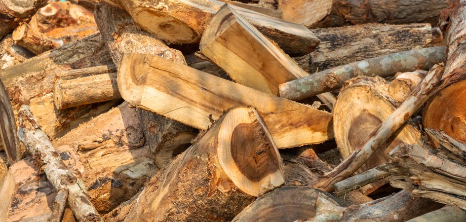 Firewood, Woodpile of freshly chopped pine logs in the forest stacked on top of each other,  Selective focus.