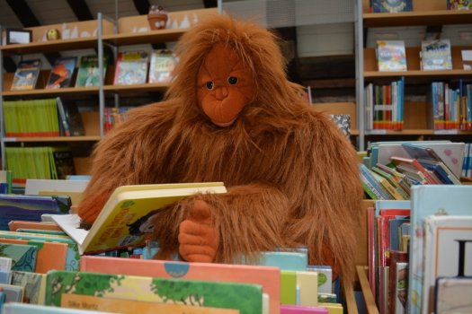 Affenfigur beim Lesen eines Kinderbuches an einem Tisch mit Büchern. Im Hintergrund Bücherregale.